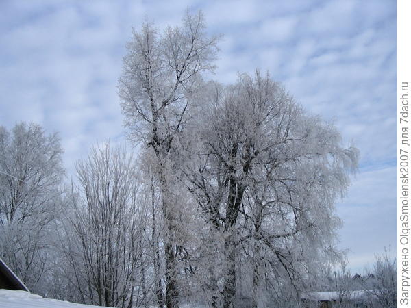 Зимнее небо.