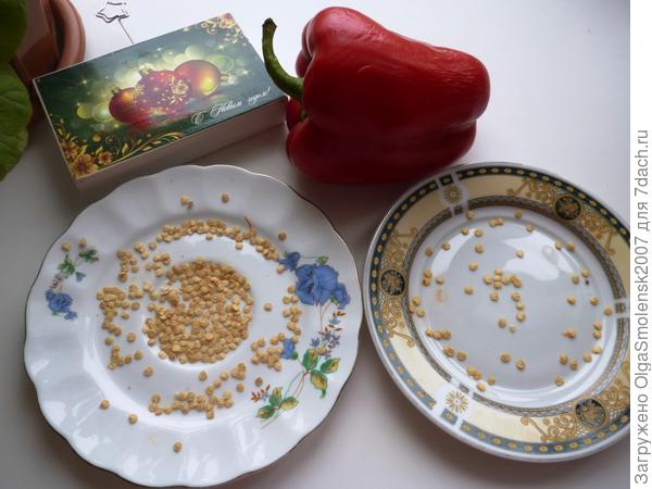 Семена из магазинного перца