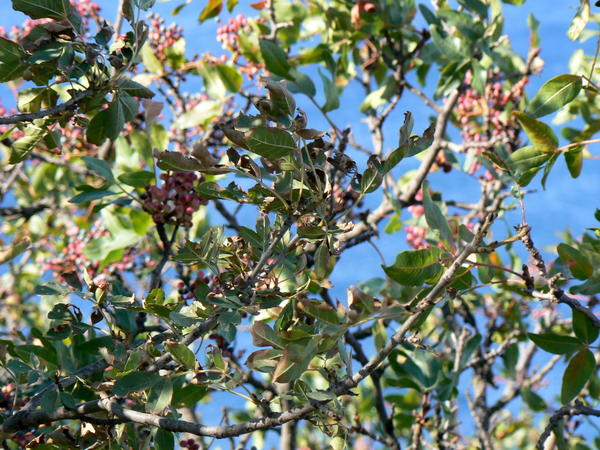 Фото от подписчика