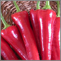 сорт каскад