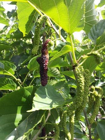 фото с сайта http://vovash.blogspot.com/