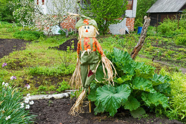 Огородное чучело своими руками фото