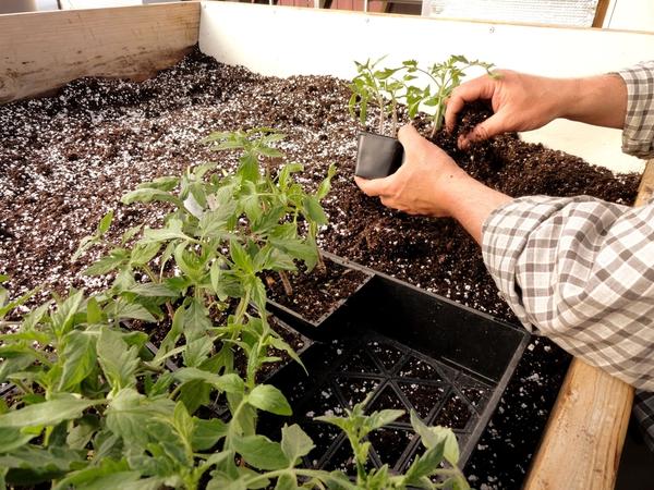 Пикирование - достаточно трудоемкий процесс