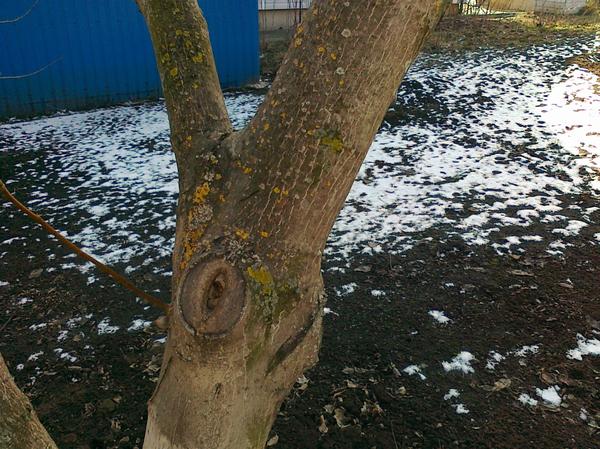 фото от подписчика