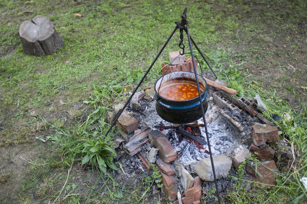 Пламенное сердце любой кухни - очаг