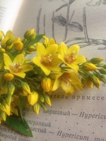 фото от подписчицы