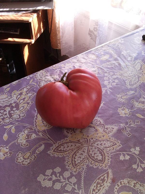 фото от участницы