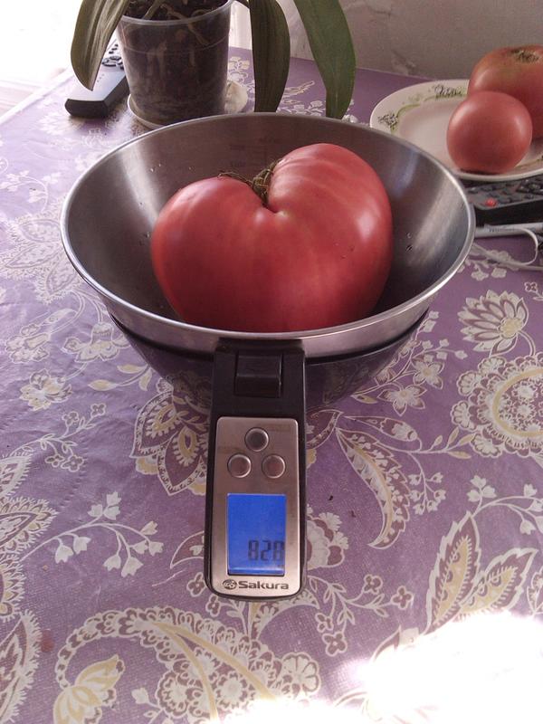 фото от участницы