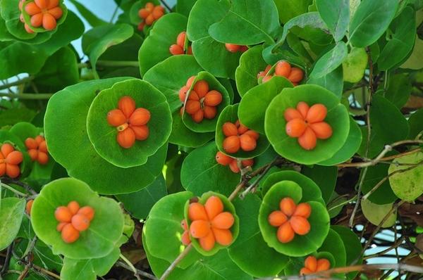 фото с сайта http://happymodern.ru