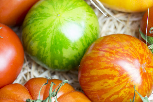 Необычные сорта томатов - с узорчатыми и бархатными плодами