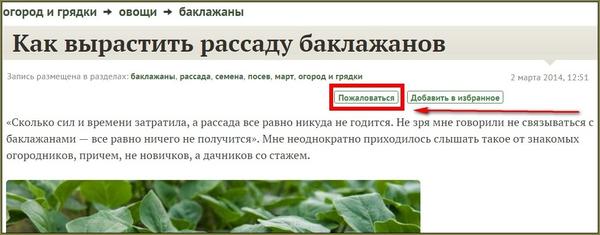 пожаловаться на пост