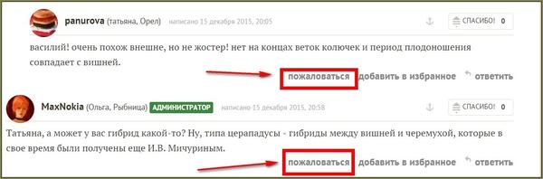 пожаловаться на комментарий