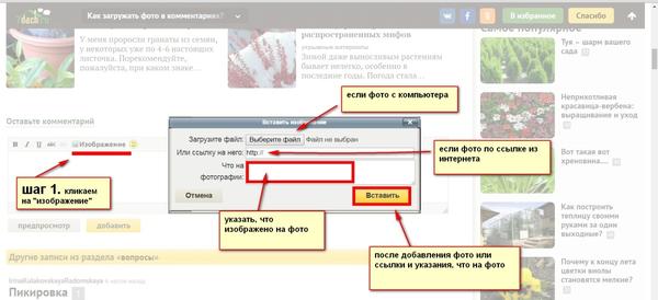 как вставить фото в комментарий