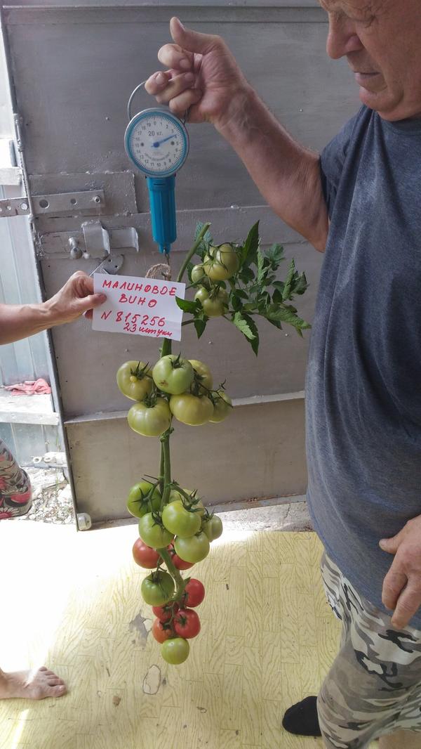 Малиновое вино