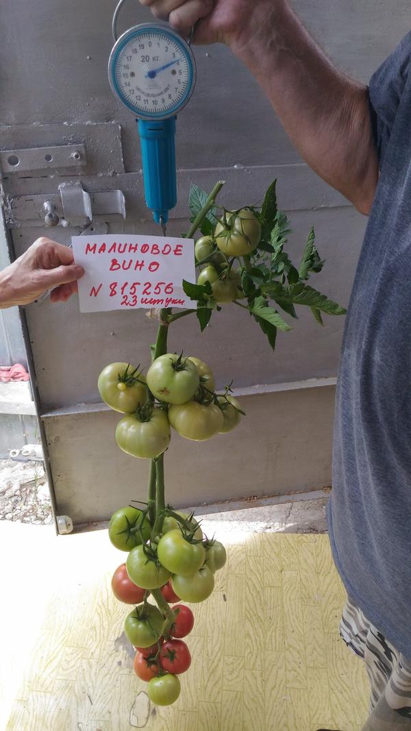 Малиновое вино