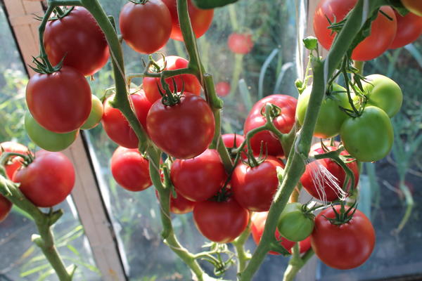 Малиновое чудо