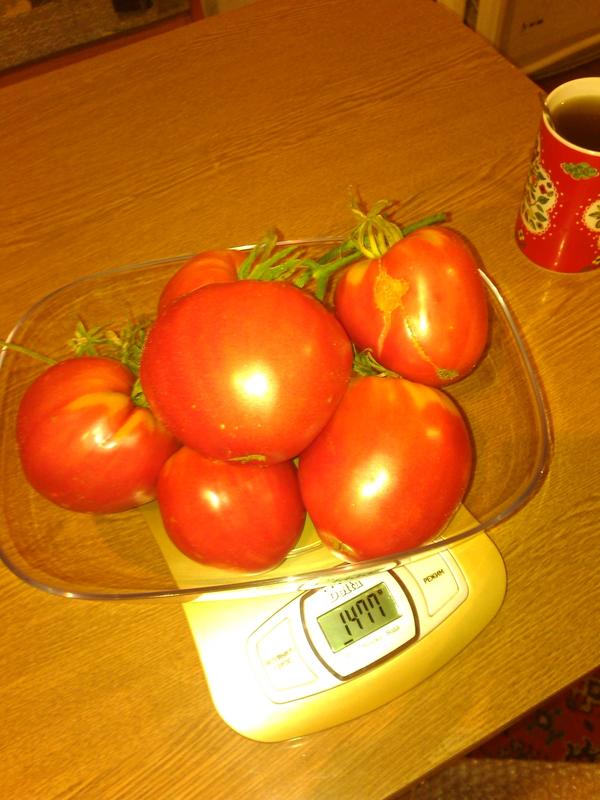 Малиновый зайка