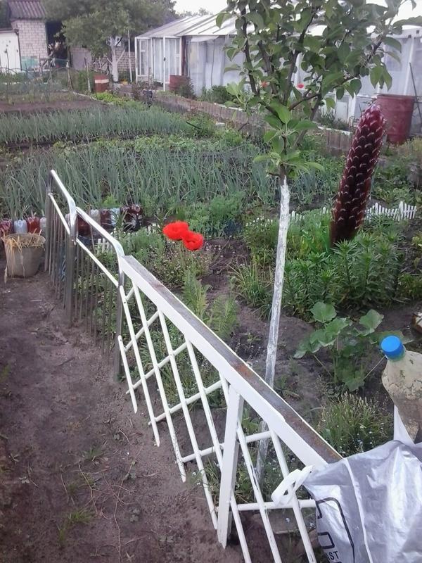 был такой заборчик до воровства