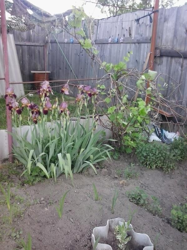 сейчас такой 2 метра - и ничего