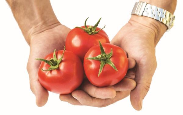 Супер-томаты от Партнера