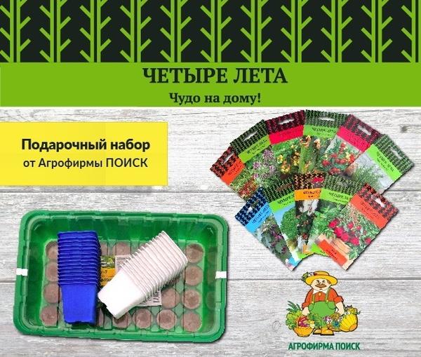 Четыре лета