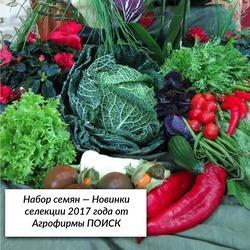 за поддержку
