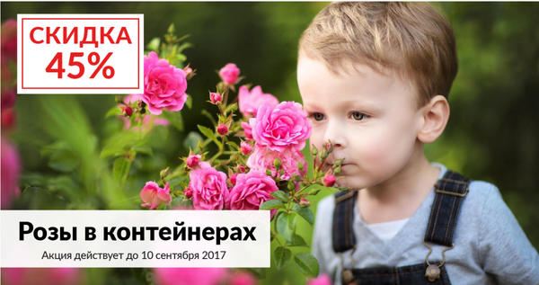 Скидки от Агрофирмы ПОИСК!