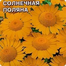 Антемис Солнечная поляна