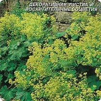 Манжетка мягкая