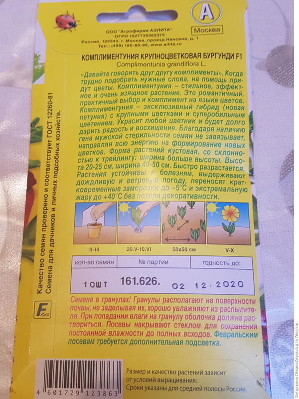 Семена комплиментунии, обратная сторона