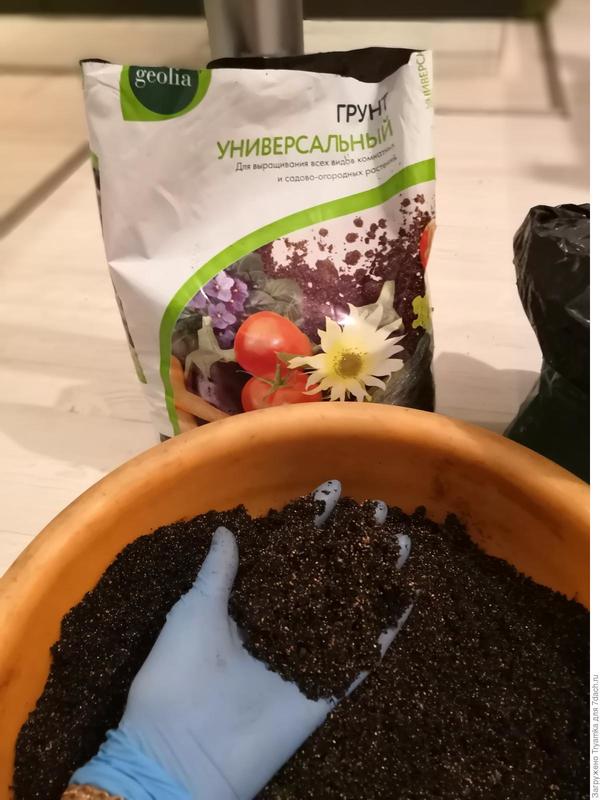грунт