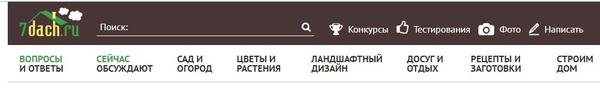 Поиск по сайту