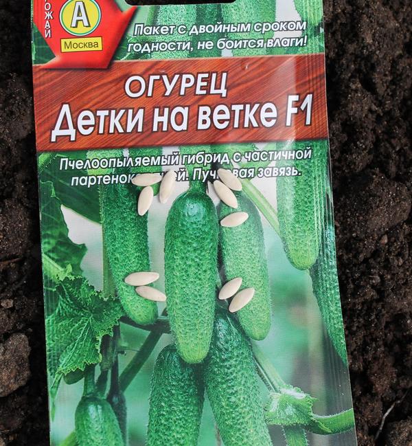 посев