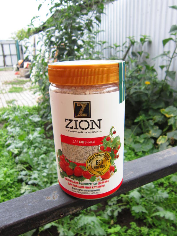 ЦИОН для клубники