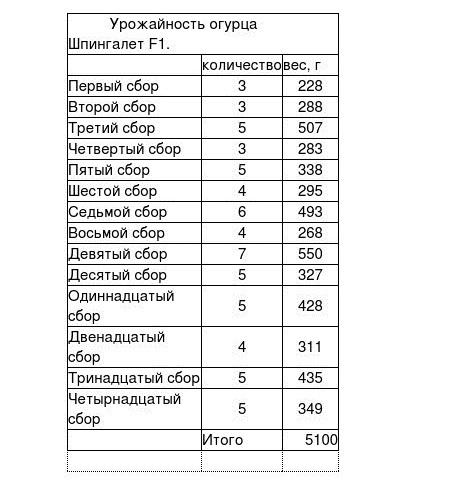 таблица