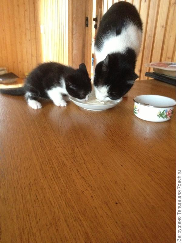 Мама и дочка