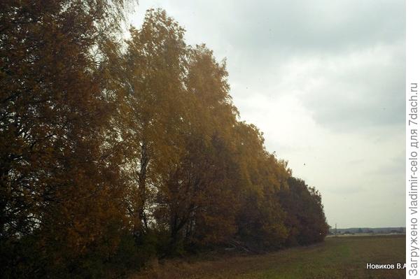 Осенняя пора - очей очарованье...