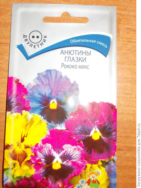 рококо