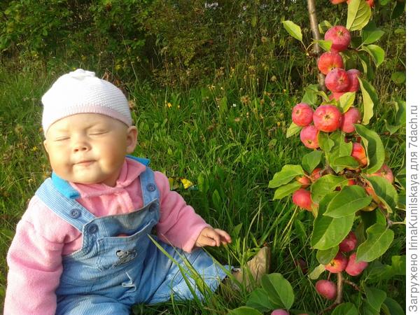 какие кислые яблоки!