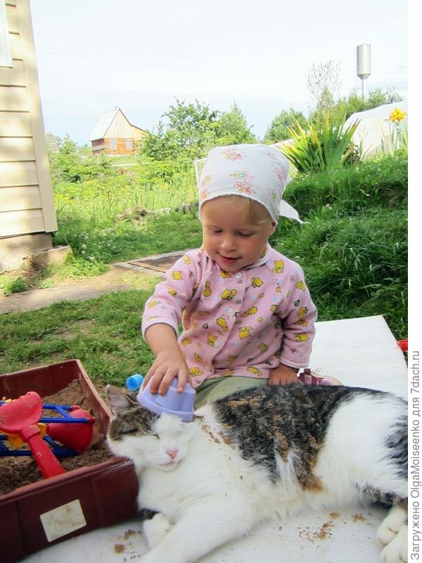кот с ребенком в песке