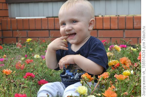 Наш маленький любитель цветов :*