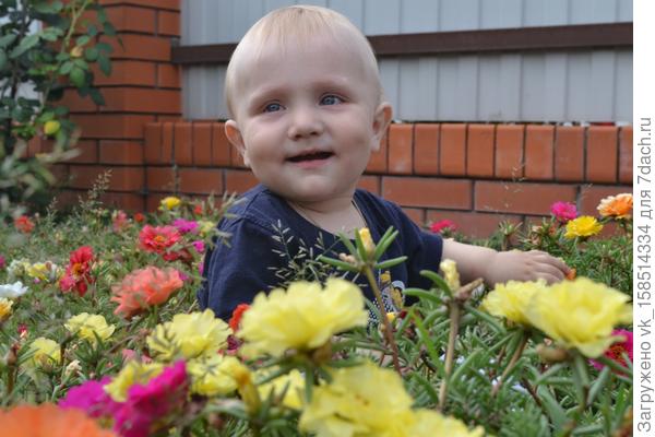 наш маленький любитель цветов :*