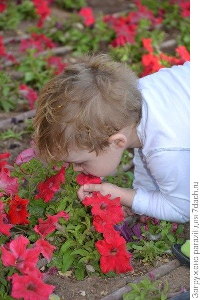 Лёва и цветы