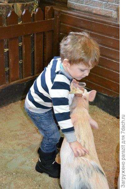 Лёва и поросенок