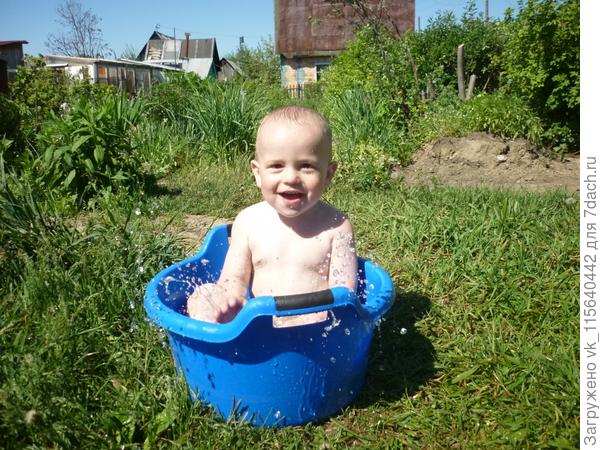 Стёпа в тазике