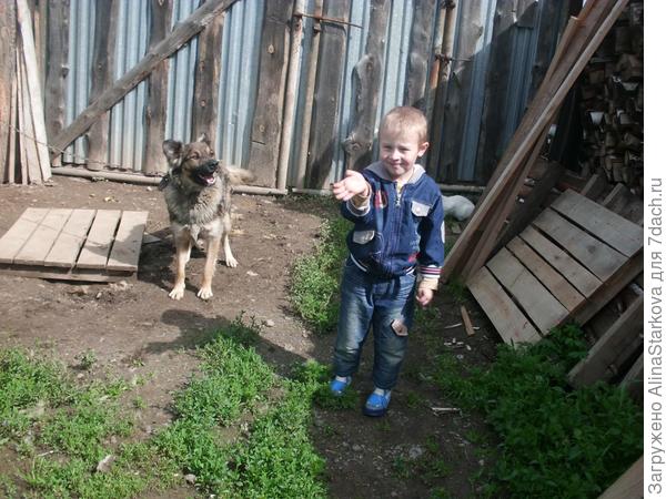 Рексик с нашим пупсом играет и им весело