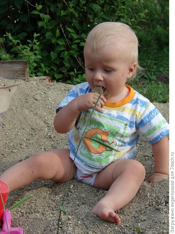 Это кушать сильно захотелось, а ещё больше захотелось попробовать то, из чего такие красивые пирожинки получаются