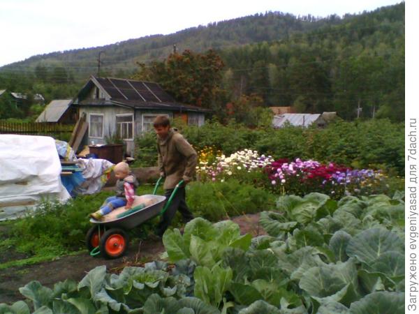 Помогаю дяде цемент возить.