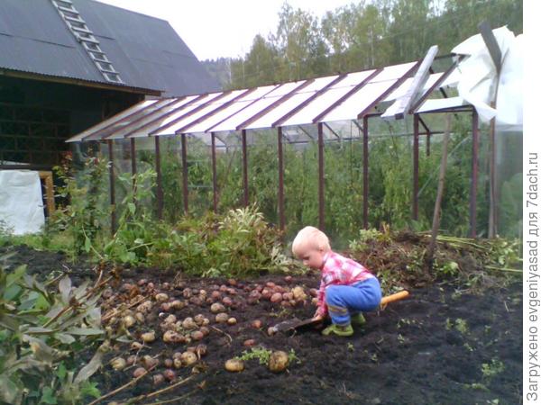 Тяжело, но интересно. И червяков для брата наберу. Он меня на рыбалку возьмёт