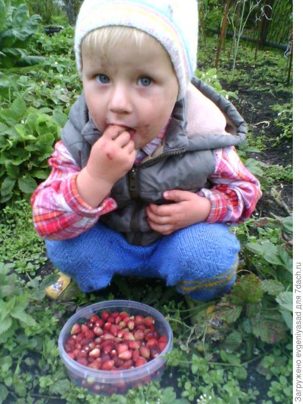 Долгожданное лакомство